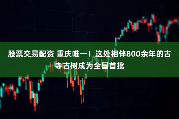 股票交易配资 重庆唯一！这处相伴800余年的古寺古树成为全国首批