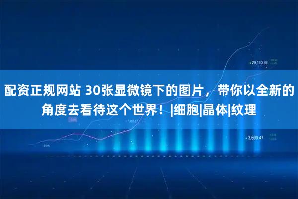 配资正规网站 30张显微镜下的图片，带你以全新的角度去看待这个世界！|细胞|晶体|纹理