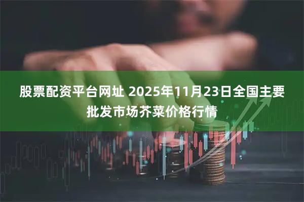 股票配资平台网址 2025年11月23日全国主要批发市场芥菜价格行情